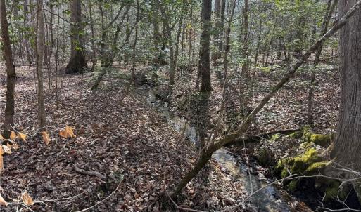 Photo #6 of 1A Carter Hill Street, Gloucester, Virginia 14.5 acres