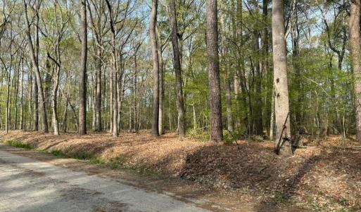 Photo #4 of 5.2 AC Princess Anne, Virginia Beach, Virginia 5.3 acres