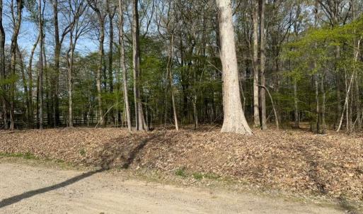Photo #5 of 5.2 AC Princess Anne, Virginia Beach, Virginia 5.3 acres