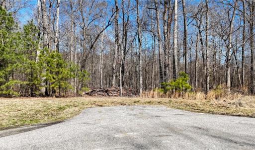 Photo #11 of 115 Christophers Lane, Hampton, Virginia 1.7 acres