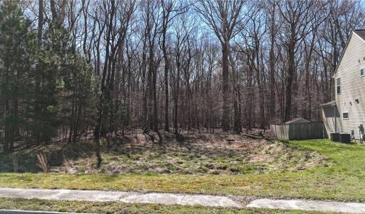 Photo #10 of 115 Christophers Lane, Hampton, Virginia 1.7 acres