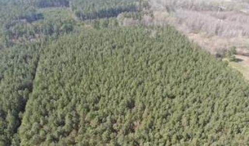 Photo #6 of 4401 General Mahone Highway, Waverly, Virginia 167.5 acres