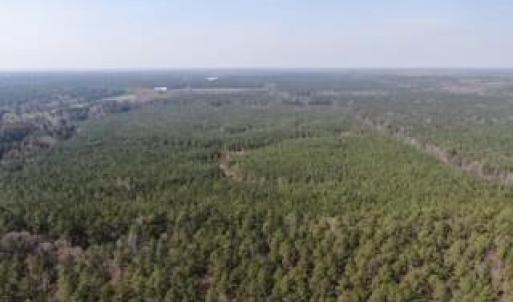 Photo #11 of 4401 General Mahone Highway, Waverly, Virginia 167.5 acres