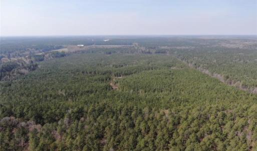 Photo #12 of 4401 General Mahone Highway, Waverly, Virginia 167.5 acres