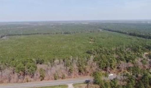 Photo #5 of 4401 General Mahone Highway, Waverly, Virginia 167.5 acres