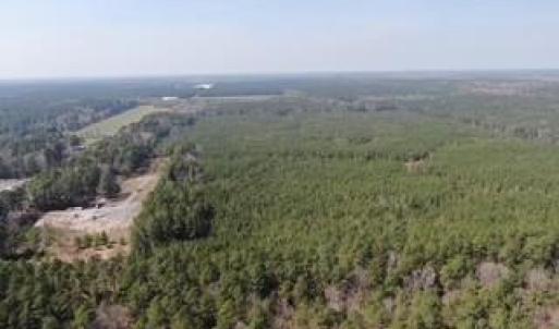 Photo #8 of 4401 General Mahone Highway, Waverly, Virginia 167.5 acres