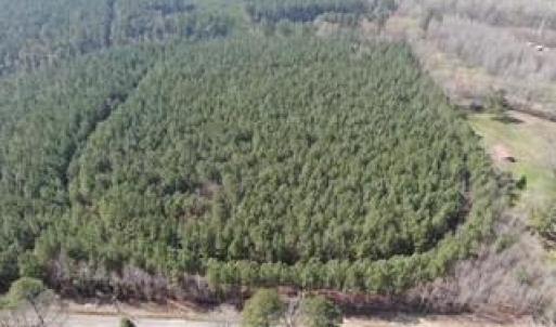 Photo #11 of 19ac Coppahaunk Avenue, Waverly, Virginia 19.6 acres