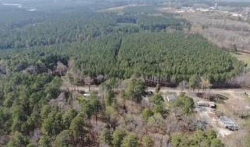 Photo #6 of 19ac Coppahaunk Avenue, Waverly, Virginia 19.6 acres