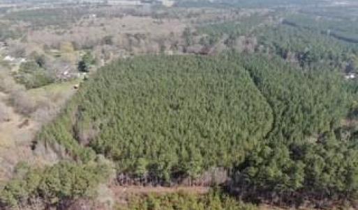 Photo #7 of 19ac Coppahaunk Avenue, Waverly, Virginia 19.6 acres