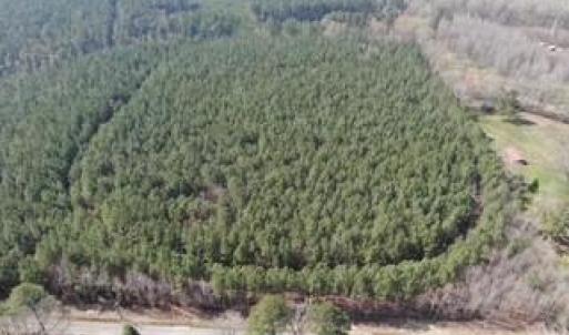 Photo #11 of 19ac Coppahaunk Avenue, Waverly, Virginia 19.6 acres