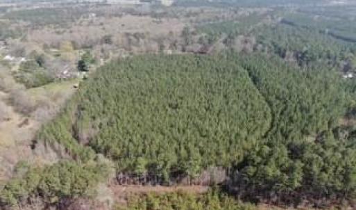 Photo #7 of 19ac Coppahaunk Avenue, Waverly, Virginia 19.6 acres