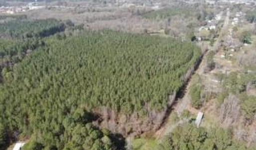 Photo #10 of 19ac Coppahaunk Avenue, Waverly, Virginia 19.6 acres