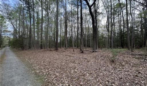 Photo #3 of 0.92AC Fenwood Court, Smithfield, Virginia 0.9 acres