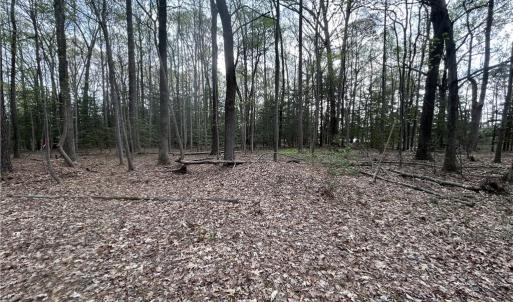 Photo #4 of 0.92AC Fenwood Court, Smithfield, Virginia 0.9 acres