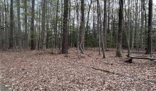 Photo #5 of 0.92AC Fenwood Court, Smithfield, Virginia 0.9 acres