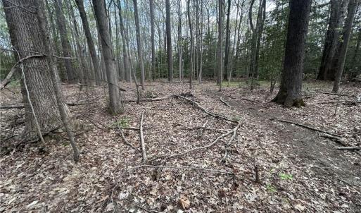 Photo #6 of 0.92AC Fenwood Court, Smithfield, Virginia 0.9 acres
