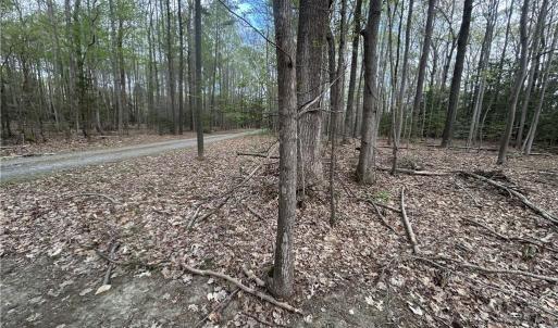 Photo #7 of 0.92AC Fenwood Court, Smithfield, Virginia 0.9 acres