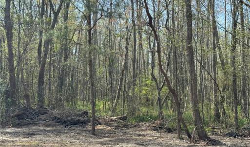 Photo #2 of 4025 B West Neck Road, Virginia Beach, Virginia 0.7 acres