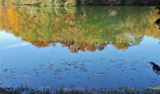 Waters Edge on College Creek