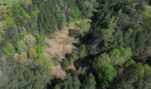 Photo #13 of 25+AC Brewers Neck Boulevard, Carrollton, Virginia 27.3 acres