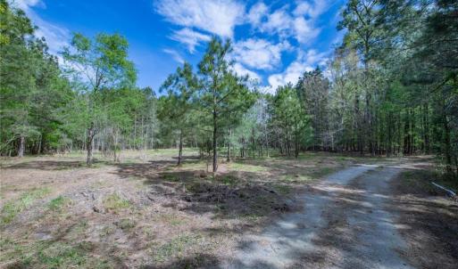 Photo #3 of 25+AC Brewers Neck Boulevard, Carrollton, Virginia 27.3 acres