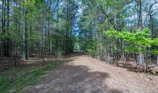 Photo #5 of 25+AC Brewers Neck Boulevard, Carrollton, Virginia 27.3 acres