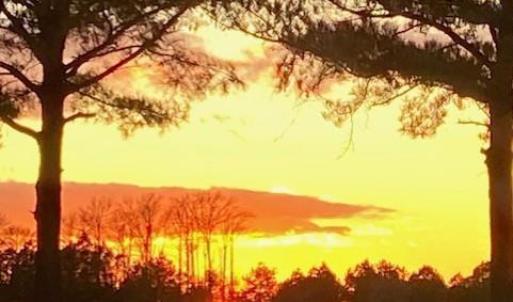 Photo #7 of 205 Muirfield Drive, Cape Charles, Virginia