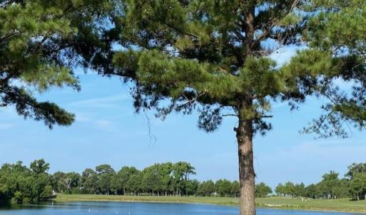 Photo #6 of 205 Muirfield Drive, Cape Charles, Virginia