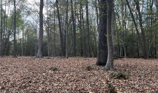 Photo #3 of Lot 1 Cobham Wharf Road, Surry, Virginia 2.3 acres