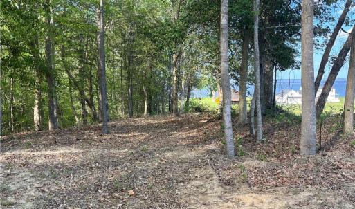 Photo #6 of Lot 1 Cobham Wharf Road, Surry, Virginia 2.3 acres