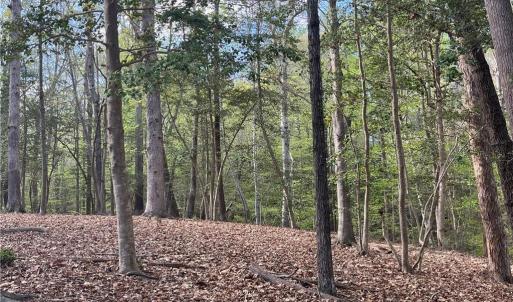 Photo #8 of Lot 1 Cobham Wharf Road, Surry, Virginia 2.3 acres