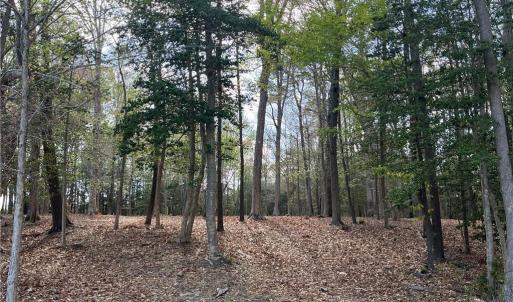 Photo #7 of Lot 1 Cobham Wharf Road, Surry, Virginia 2.3 acres