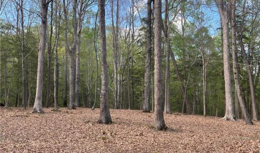 Photo #10 of Lot 1 Cobham Wharf Road, Surry, Virginia 2.3 acres