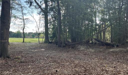 Photo #7 of Lot 2 Eagle Lane, Surry, Virginia 2.0 acres