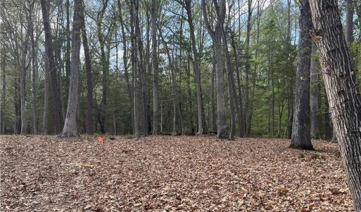 Photo #5 of Lot 2 Eagle Lane, Surry, Virginia 2.0 acres