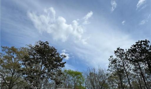 Photo #2 of 4.51AC Hog Island Road, Surry, Virginia 4.5 acres