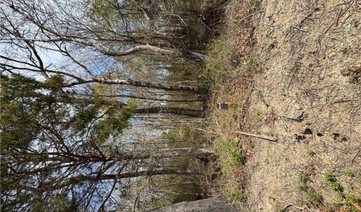 Photo #11 of 4.51AC Hog Island Road, Surry, Virginia 4.5 acres