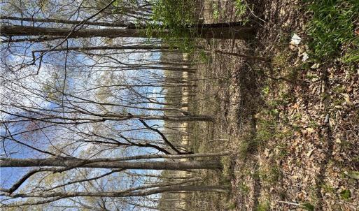 Photo #15 of 4.51AC Hog Island Road, Surry, Virginia 4.5 acres