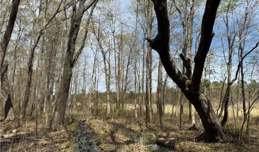 Photo #17 of 4.51AC Hog Island Road, Surry, Virginia 4.5 acres