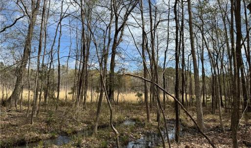 Photo #18 of 4.51AC Hog Island Road, Surry, Virginia 4.5 acres