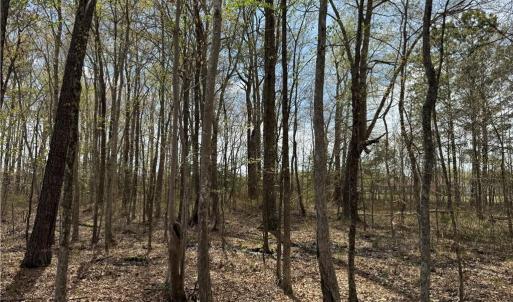 Photo #20 of 4.51AC Hog Island Road, Surry, Virginia 4.5 acres