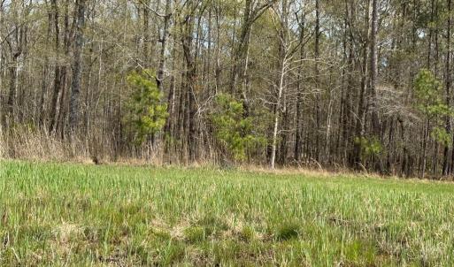 Photo #26 of 4.51AC Hog Island Road, Surry, Virginia 4.5 acres