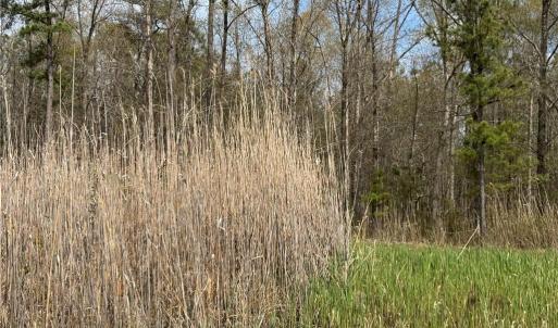 Photo #27 of 4.51AC Hog Island Road, Surry, Virginia 4.5 acres