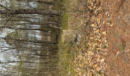 Photo #37 of 4.51AC Hog Island Road, Surry, Virginia 4.5 acres