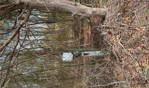 Photo #6 of 4.51AC Hog Island Road, Surry, Virginia 4.5 acres