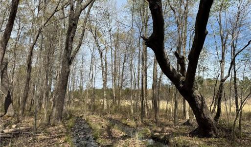 Photo #17 of 4.51AC Hog Island Road, Surry, Virginia 4.5 acres