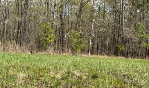 Photo #26 of 4.51AC Hog Island Road, Surry, Virginia 4.5 acres