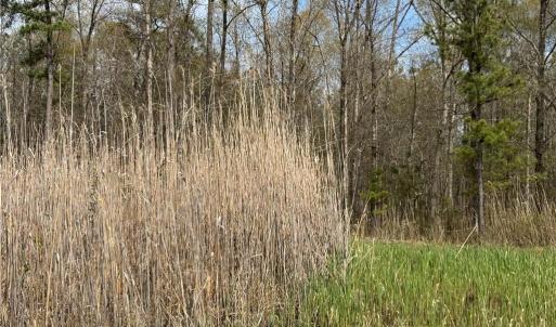 Photo #27 of 4.51AC Hog Island Road, Surry, Virginia 4.5 acres