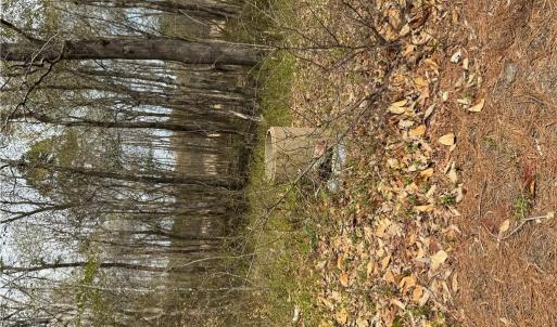 Photo #37 of 4.51AC Hog Island Road, Surry, Virginia 4.5 acres