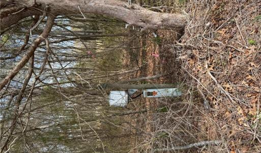 Photo #6 of 4.51AC Hog Island Road, Surry, Virginia 4.5 acres
